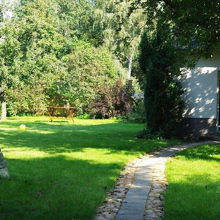 Gemuetliches Eigenes Haeuschen - Optimal Gelegen Zwischen Altstadt Und Hafen Senftenberg Ngoại thất bức ảnh