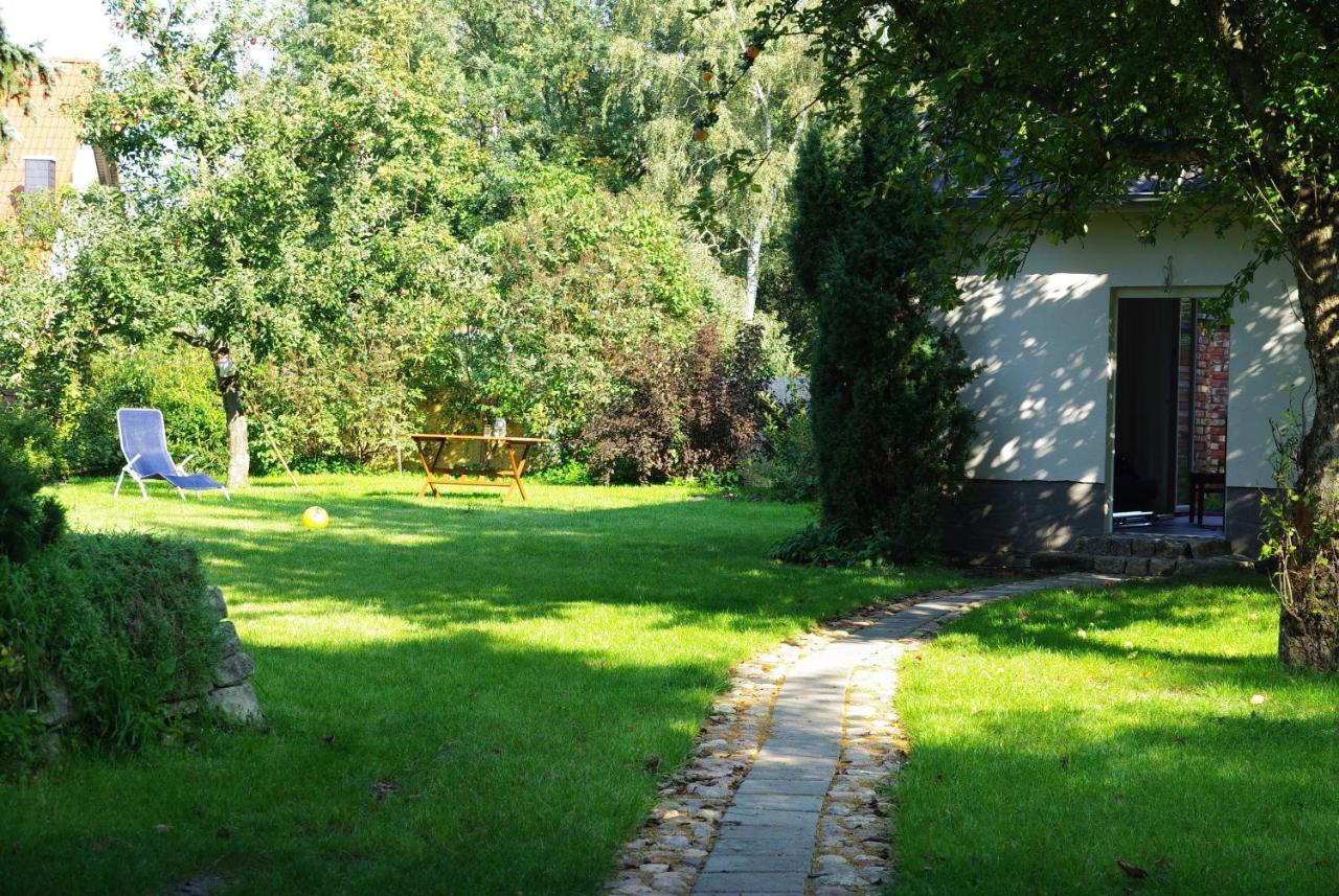 Gemuetliches Eigenes Haeuschen - Optimal Gelegen Zwischen Altstadt Und Hafen Senftenberg Ngoại thất bức ảnh